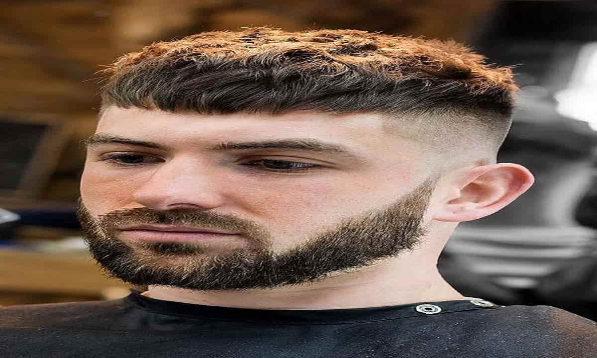 What is garnachos haircut - Hairs Craze